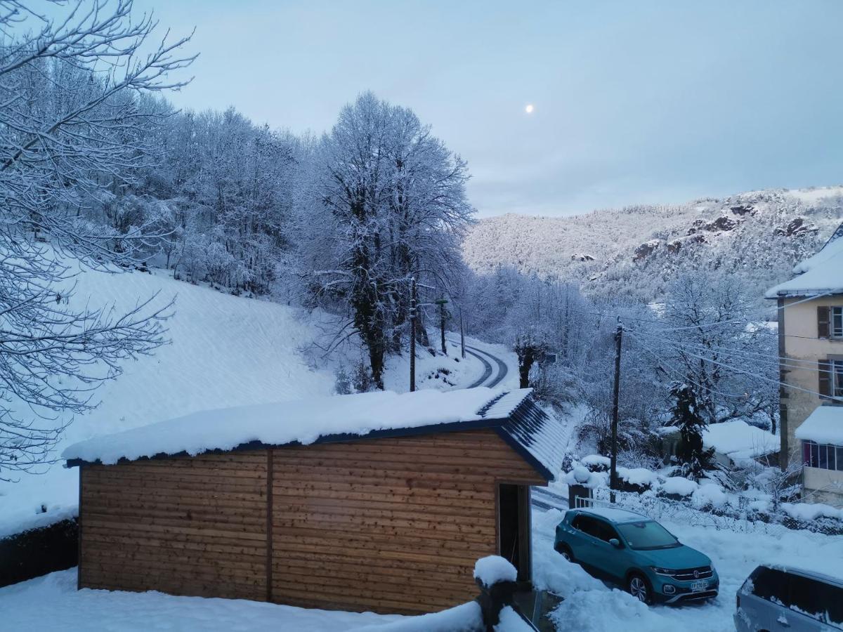 Maison D'Hote, Gite, La Maisonnette Vic-sur-Cère Buitenkant foto