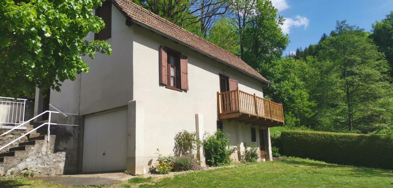 Maison D'Hote, Gite, La Maisonnette Vic-sur-Cère Buitenkant foto